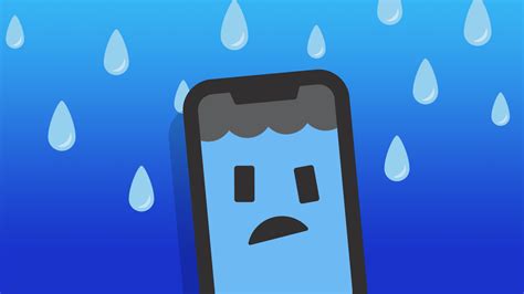 iPhone Water Damage: Ultimate Guide On How To Fix .